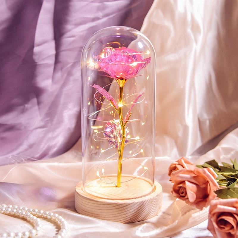  certainPL Fresh Preserved Rose Flower Lighted Glass